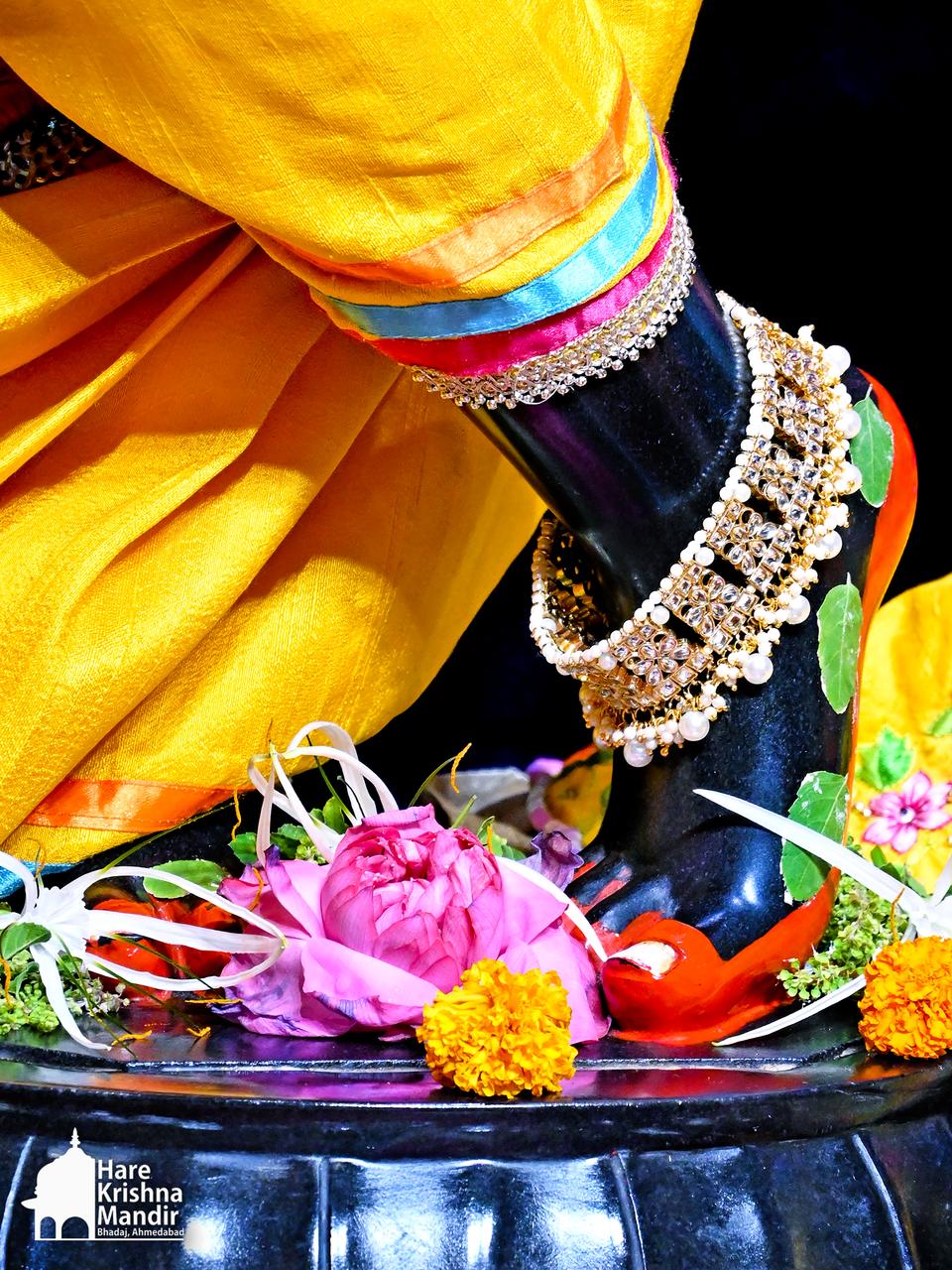 2026-05-11 Darshan